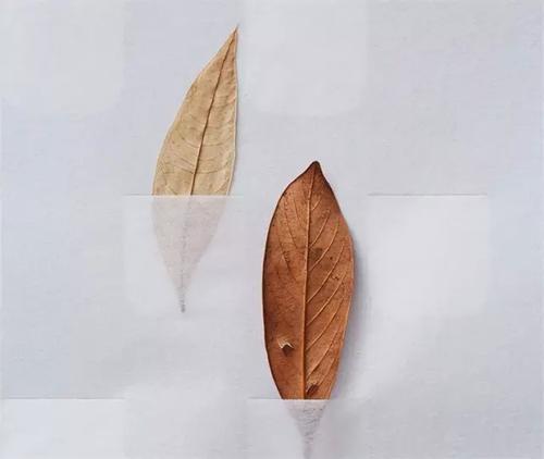 浙江成人高考入学考什么科目？