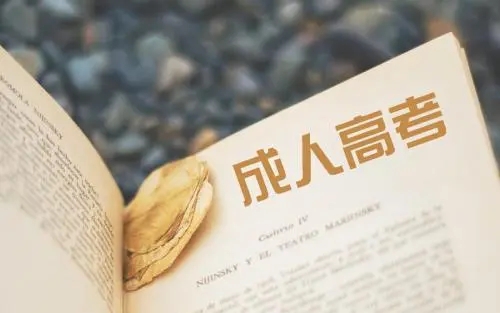 关于2022年浙江省成考网上确认的通知