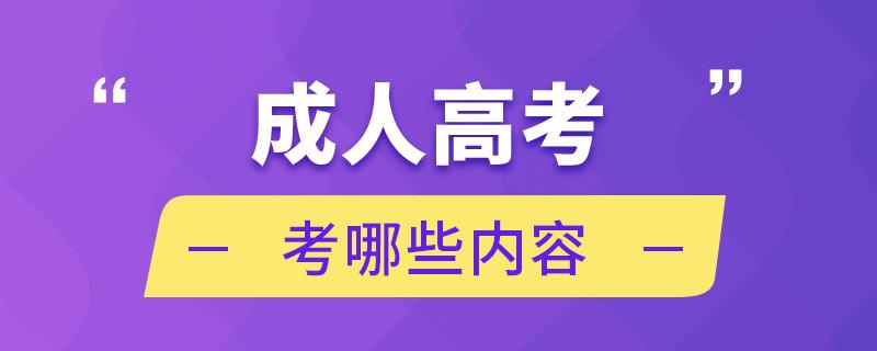 2023年浙江省丽水市成考考试科目